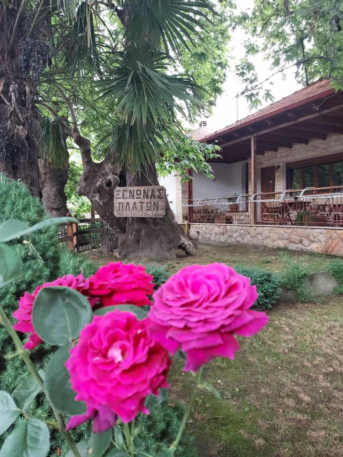 Guesthouse Platon Órma Dış mekan fotoğraf