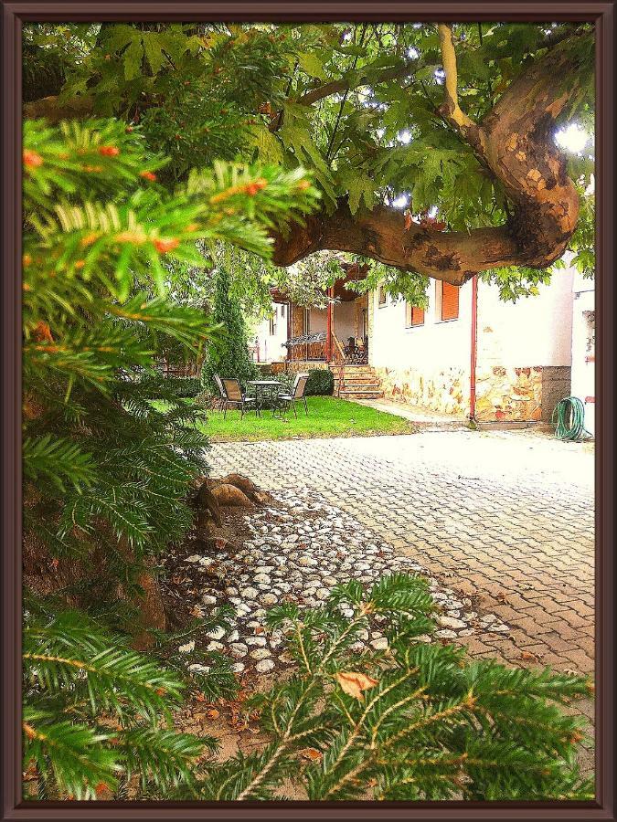 Guesthouse Platon Órma Dış mekan fotoğraf