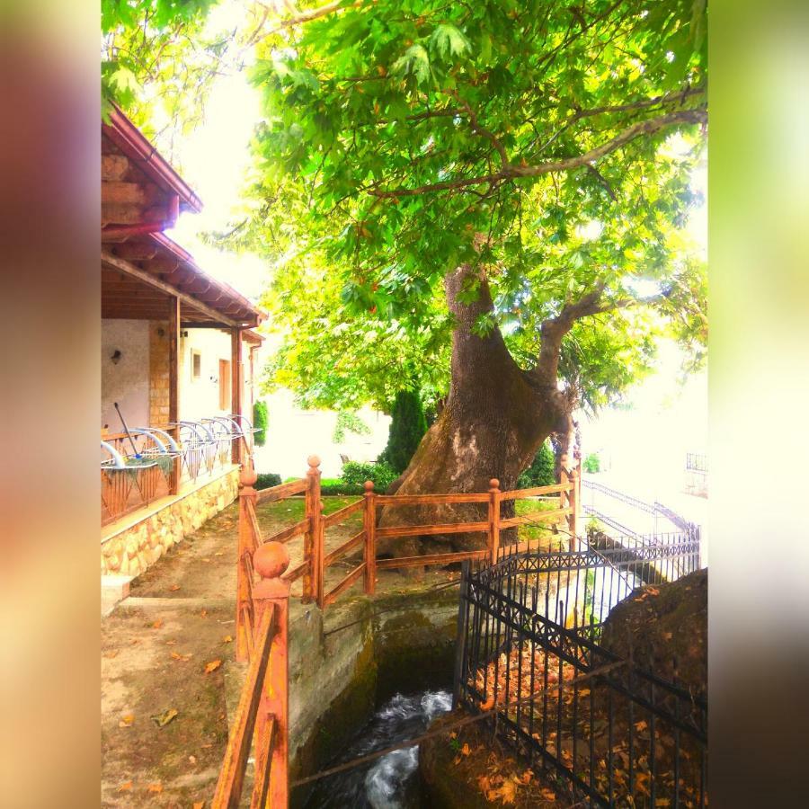 Guesthouse Platon Órma Dış mekan fotoğraf