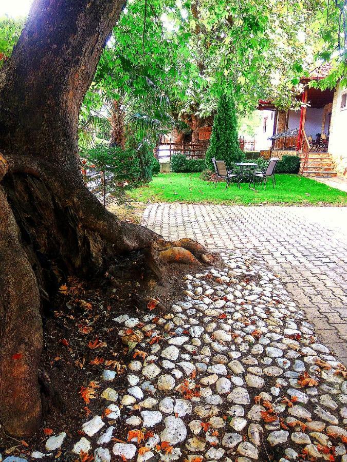 Guesthouse Platon Órma Dış mekan fotoğraf